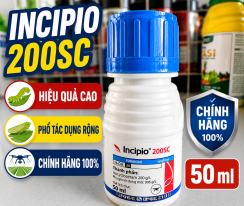 INCIPIO