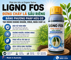 LIGNOFOS đứng cháy lá sầu riêng