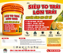 XÔ SIÊU TO TRÁI LỚN TRÁI