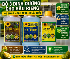 BỘ 3 DINH DƯỠNG CHO SẦU RIÊNG 