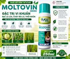 MOLTOVIN