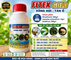 FITEX GOLD