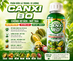 🎯 CANXI BO – Chống Xơ Đen, Nứt Trái – Nuôi Hạt