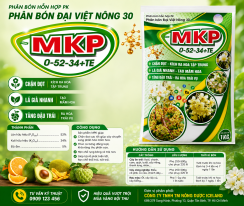 🌸 MKP 0-52-34+TE – Phân bón chuyên dùng cho giai đoạn ra hoa, đậu trái 🌸