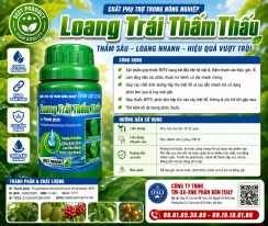 LOANG TRẢI THẨM THẤU