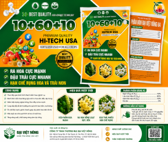 10+60+10 gói 250g