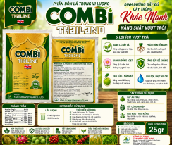 COMBI THAILAN