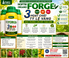 FORGE 3 hoạt chất tỷ lệ vàng