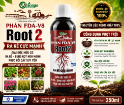 ROOT2