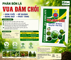 Vua đâm chồi