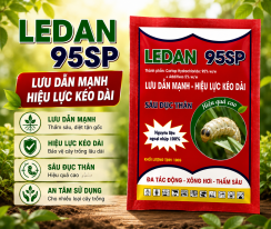 LEDAN 