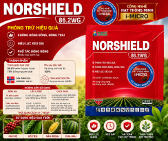NORSHIELD