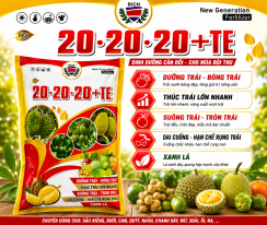 20-20-20+TE gói