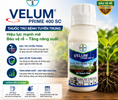 VELUM