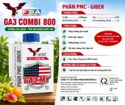 GA3-Mỹ combi 800 kích thích sinh trưởng dưỡng bông nuôi trái