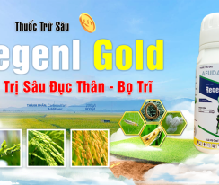 Regenl Gold
