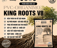 KINGROOTS V8