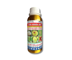 SIÊU KHUẨN NẤM