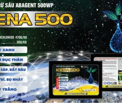 ICENA 500