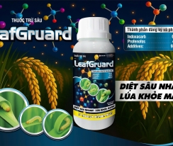 LeafGruard