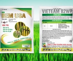 BEM USA