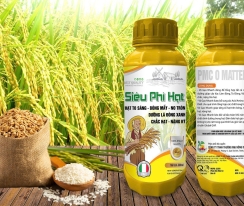 SIÊU PHÌ HẠT