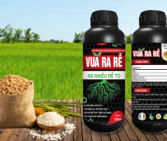 VUA RA RỄ