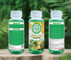 CANXI BO - CHỐNG SƠ ĐEN NỨT TRÁI