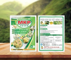 MKP 0-52-34+TE
