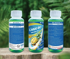 CANXI BO - CHỐNG RỤNG SINH LÝ