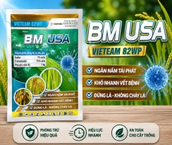 BM USA