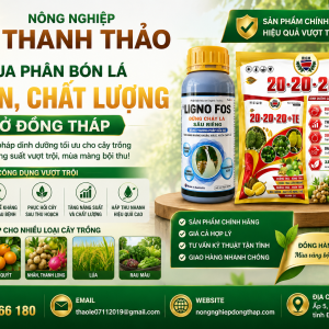 mua-phan-bon-la-uy-tin-chat-luong-o-dong-thap