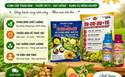 Mua Phân Bón Chất Lượng Giá Rẻ Ở Đồng Tháp – Địa Chỉ Uy Tín Được Nhiều Nhà Vườn Tin Chọn