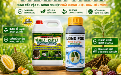 Mua Phân Bón Lá Tại Đồng Tháp Chính Hãng, Giá Tốt, Hiệu Quả Cao Cho Cây Trồng