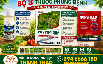 Thuốc Trừ Bệnh Giá Rẻ Tại Đồng Tháp Hiệu Quả Cao Cho Cây Trồng