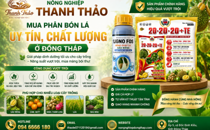 Mua Phân Bón Lá Uy Tín, Chất Lượng Ở Đồng Tháp