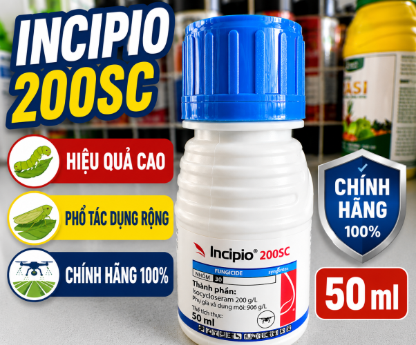INCIPIO