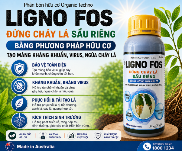 LIGNOFOS đứng cháy lá sầu riêng