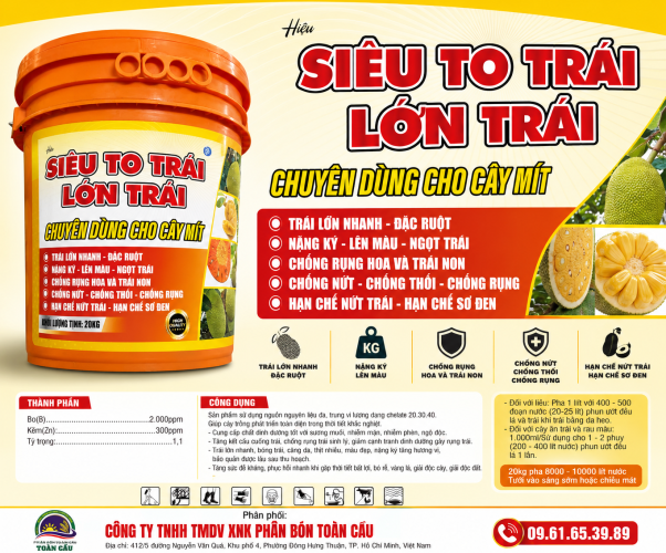 XÔ SIÊU TO TRÁI LỚN TRÁI