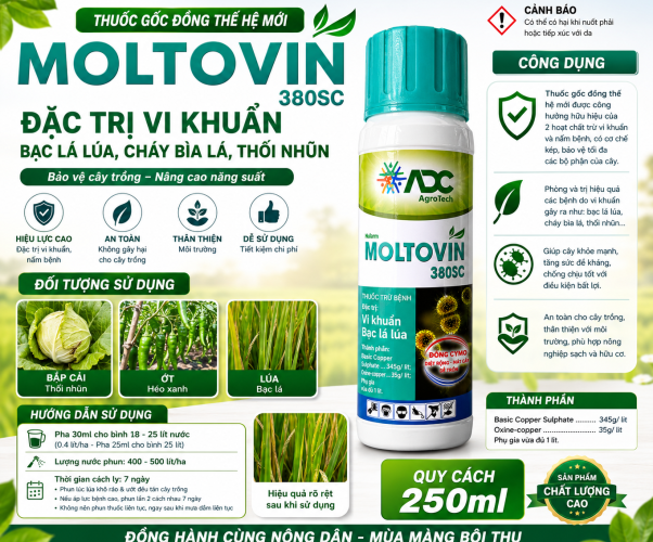 MOLTOVIN