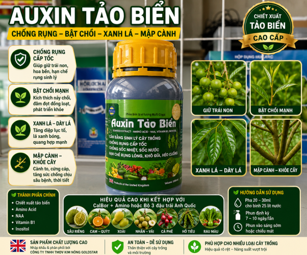 AUXIN TẢO BIỂN chống rụng_ bật chồi_ xanh lá_ mập cành