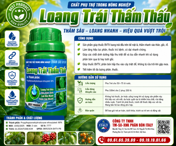 LOANG TRẢI THẨM THẤU