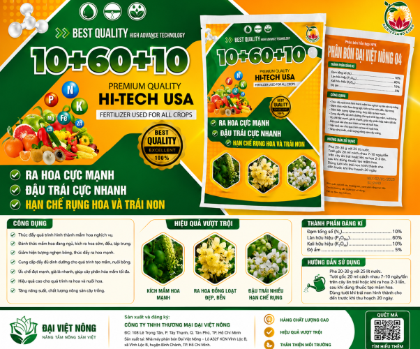 10+60+10 gói 250g