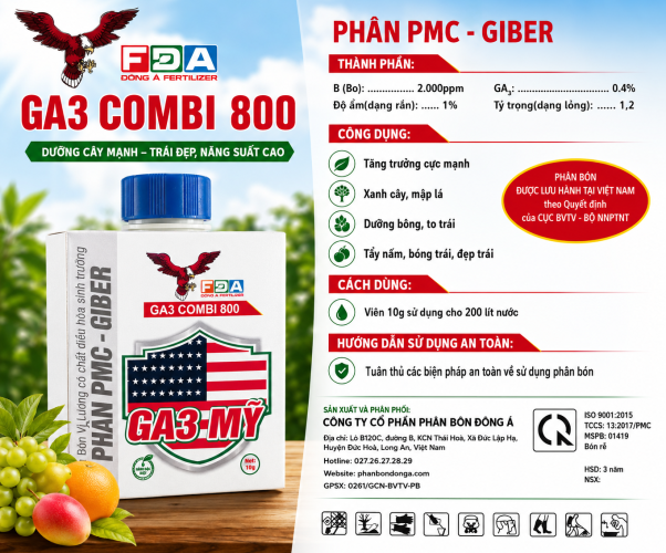 GA3-Mỹ combi 800 kích thích sinh trưởng dưỡng bông nuôi trái