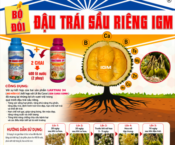 ĐẬU TRÁI SẦU RIÊNG IGM