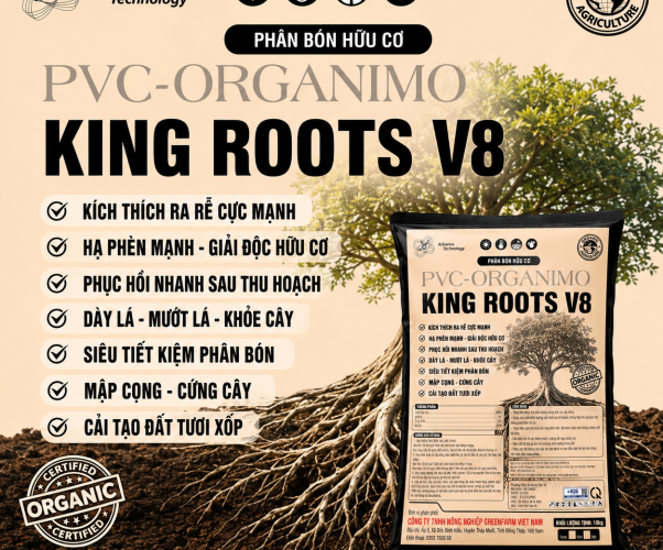 KINGROOTS V8