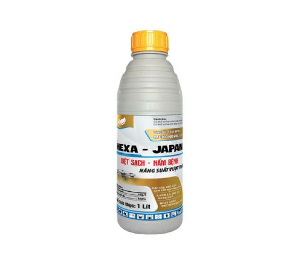 HEXA JAPAN