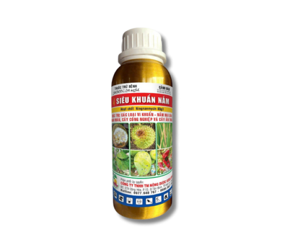 SIÊU KHUẨN NẤM