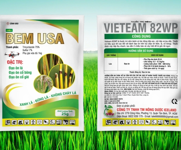 BEM USA