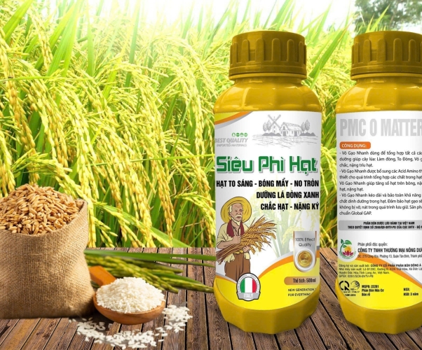 SIÊU PHÌ HẠT